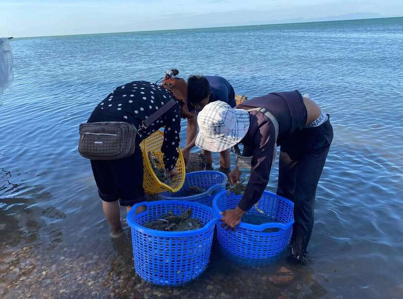 A Day Trip to Kep Beach and Kampot from Phnom Penh - Fresh Fish Market and the Seahorse Statue Quick Hits