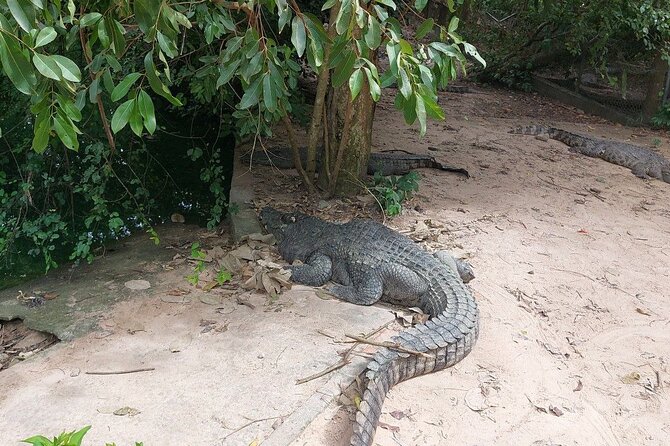 A Day Trip To Phnom Chisor - Tonle Batti From Phnom Penh - Stop 2: Tonle Bati lake and its ancient temple
