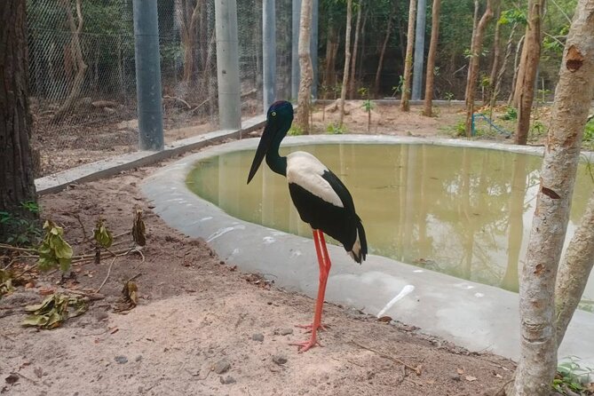 Cambodia Wildlife Sanctuary and Countryside Tour - Price and value: what $159 buys you