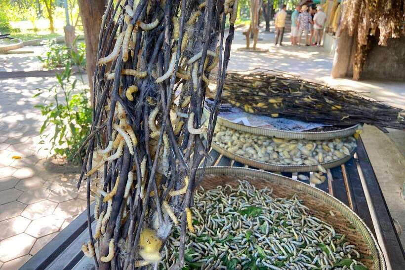 From Phnom Penh: Half-Day Silk Island Tour with Guide - Silk Island Loop: Village Life, Seasonal Crops, and What Children’s Days Look Like
