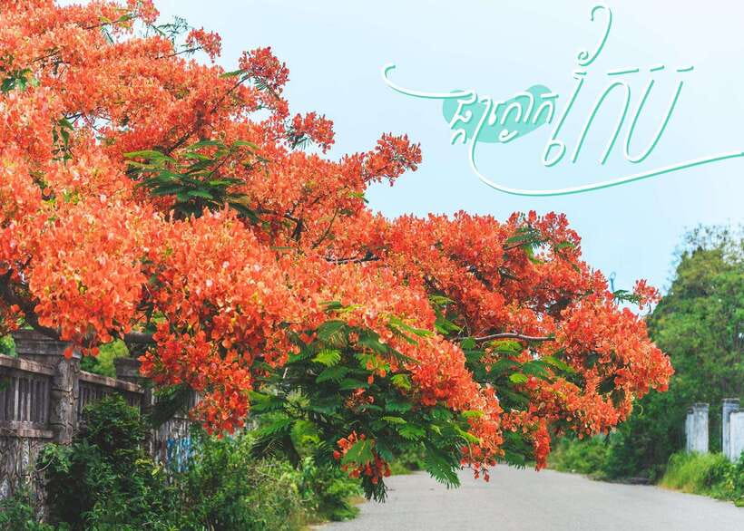 From Phnom Penh: Kampot and Kep Day Trip with English Guide - Kep Beach and Brateak Krola: quick coast hits with real photo payoff