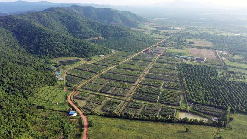 From Phnom Penh: Kampot Day Trip to Beautiful place W/ Guide - Key highlights to know before you go