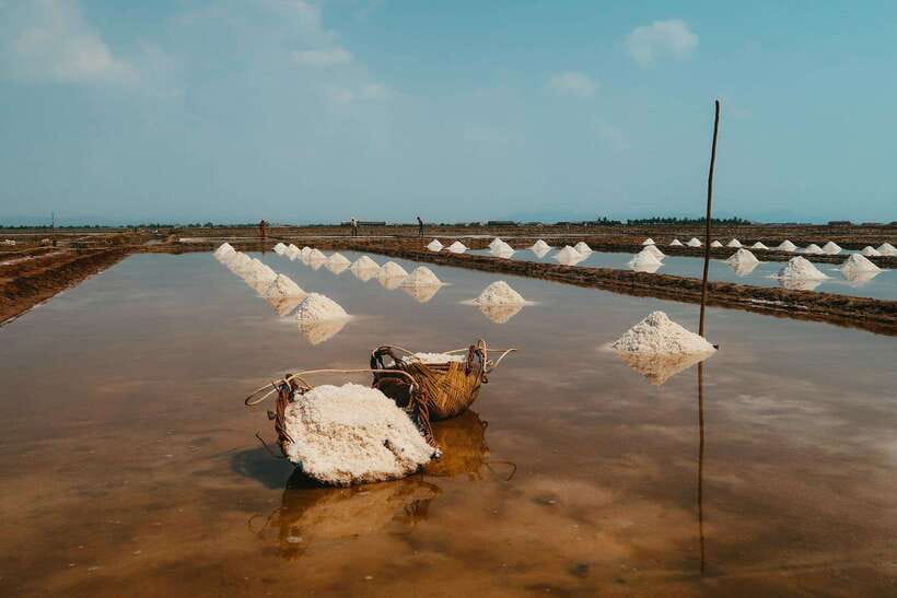 From Phnom Penh: Kampot Day Trip to Beautiful place W/ Guide - Stop 2: Kep Crab Market—seafood on display, fast decision-making