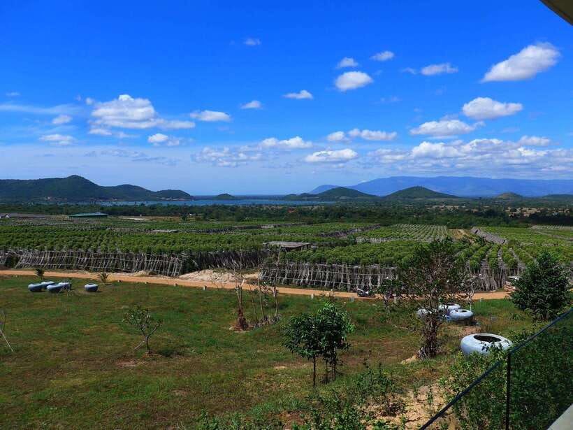 From Phnom Penh: Kampot Day Trip to Beautiful place W/ Guide - Stop 4: La Plantation—pepper fields, photos, and another guided walk