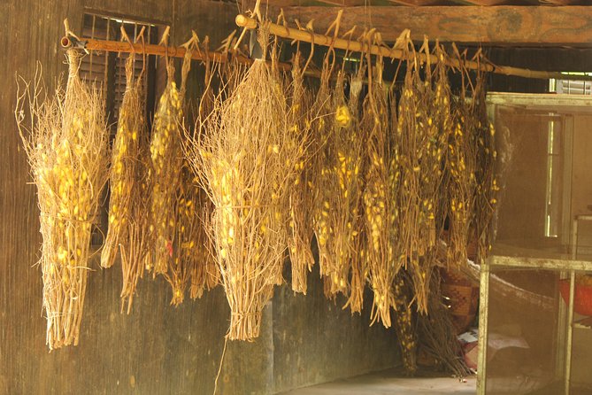 Island Community Life in Phnom Penh - Entering the Silk Weaving Village: What the Workshop Teaches You