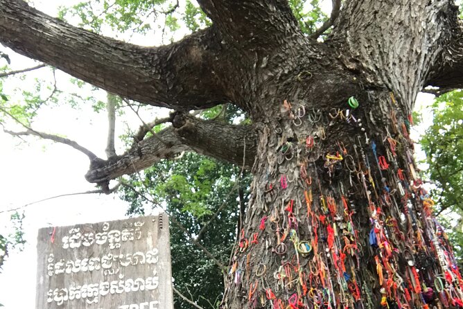 Khmer Rouge, genocide museum &killing field tour - Who This Tour Fits Best (and Who Might Want a Plan B)