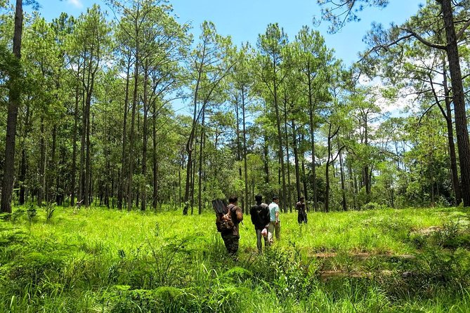 Kirirom National Park Private Day Tour from Phnom Penh - Why Kirirom and Chambok Feel Like More Than a Scenic Day Trip