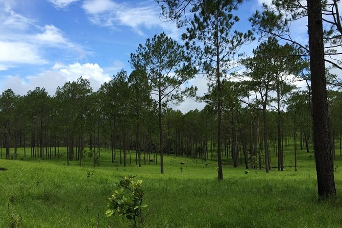 Kirirom National Park Private Day Tour from Phnom Penh - The Forest Hike to Chambok Waterfall (Short, but Worth It)