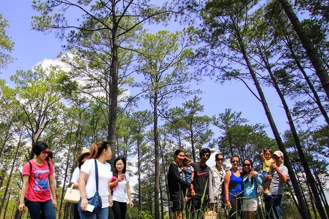 Kirirom National Park Private Day Tour from Phnom Penh - Why the Private Guide Really Changes the Day