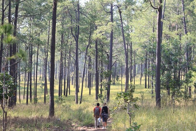 Kirirom National Park Private Day Tour from Phnom Penh - Who This Tour Fits Best (And Who Might Want Something Different)