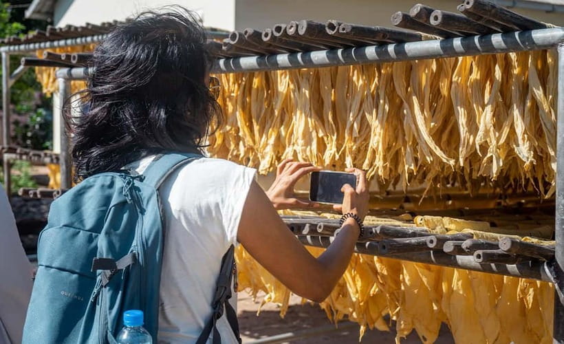 Phnom Penh Haft Day Tour to Silk Island by Tuk Tuk - Price and Value: Is $29 Worth It?