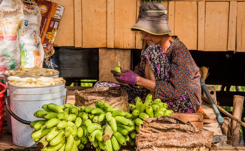 Phnom Penh: Phnom Oudong & Koh Chen Village - Lunch include - Who this tour suits best (and who should skip it)