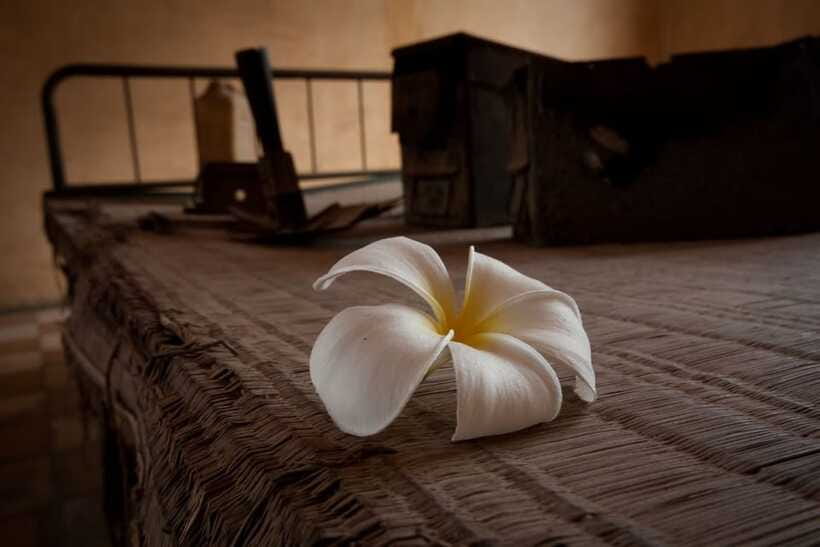 Phnom Penh private tour Tuol Sleng & Choeng Ek Killing Field - Who this tour suits best