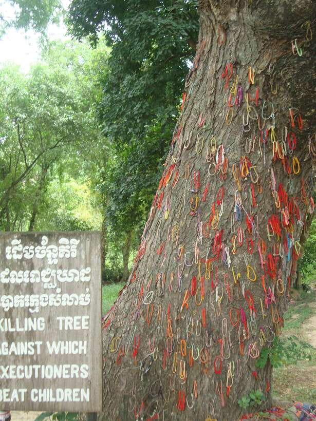 Phnom Penh: S-21 Prison and Killing Fields Half-Day Tour - Key things I’d zero in on before you go