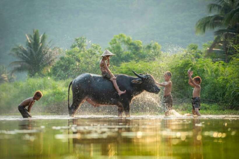 Phnom Penh to Siem Reap cruise/land tour (one way) - En route sightseeing: riverside stops and the Cham community village