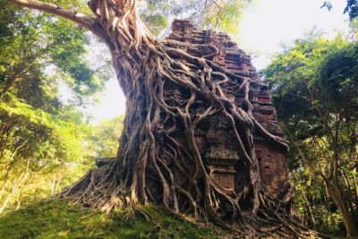 Private Taxi Between Phnom Penh - Siem Reap Stop Sightseeing - Skun Spider Village: Quick Break, Strong Impressions