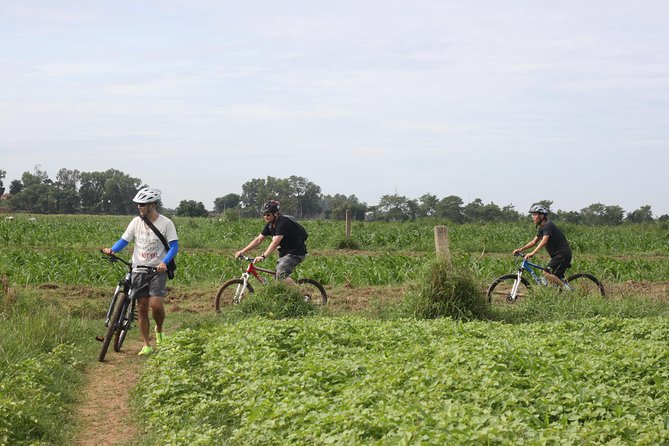 Silk Island Cycling Adventure & lunch with locals - Silk, crafts, and local work: the handmade part of the tour