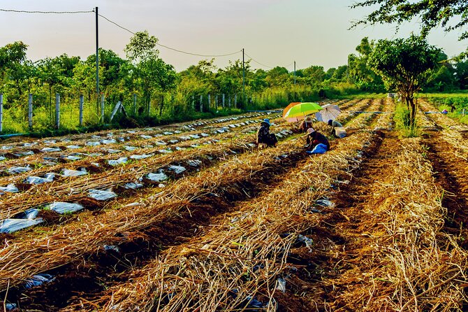 Silk Island Private Half-Day Tour from Phnom Penh - What to bring for a comfortable half-day on the island