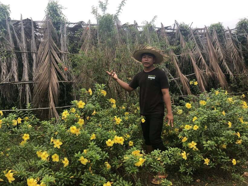 Small Group: One Day Phnom Penh to Kampot, Kep include lunch - Pepper Farm in Kampot: The Smell of the Region