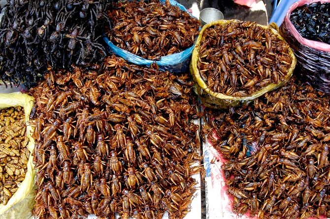 The Journey Phnom Penh to/from Siem Reap: A Memorable Tour - Skun spider and insect food market: fun, weird, and very short